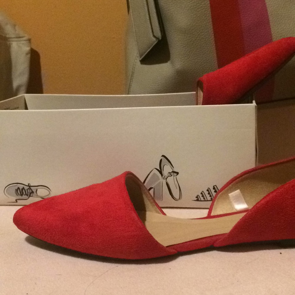 Pointed Two Piece Ballet Flats A • New day